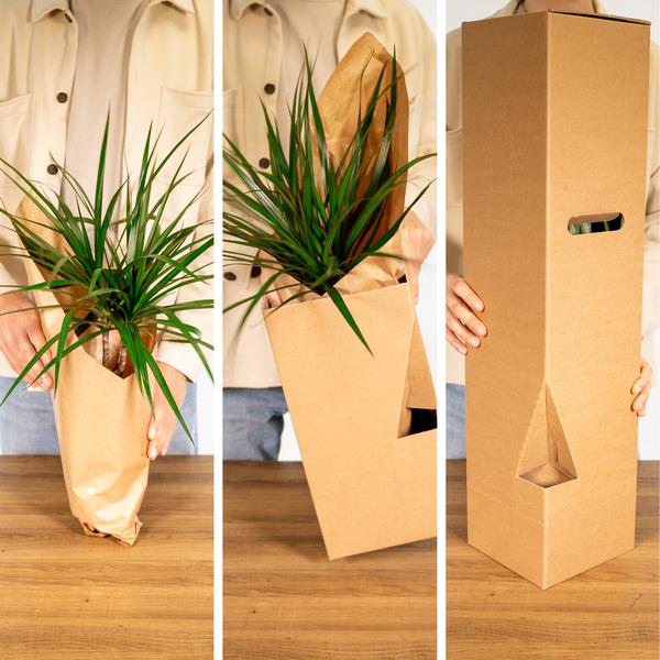 Buitenbeentjesbox 12x Ø12 - Ø12cm - 12x