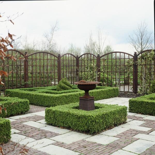 Buxus Sempervirens - ↕10-25cm - Ø9cm - 6x