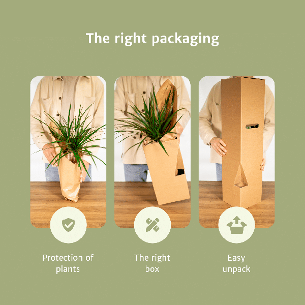 8x Verrassingsbox Ø12cm - ↕25cm - x10